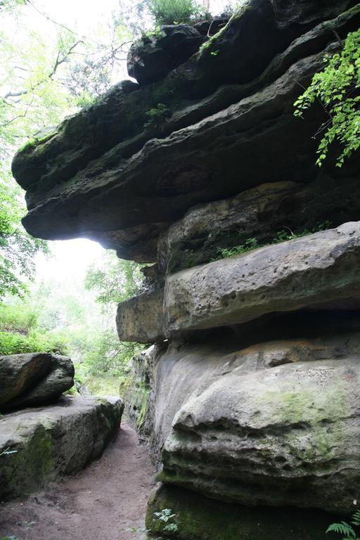 Landpension Bielatal - Raum Esterno foto